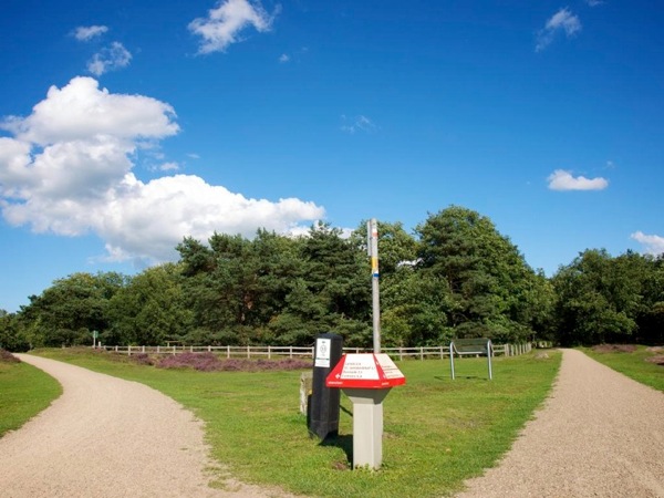 Slide79.jpg Photograph of a forking bike path